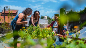 The Evolution of Equitable Community Spaces and Gardens