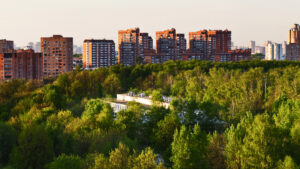 Urban Forest Policies for Climate Resilience presented by Zhaochua Cheng
